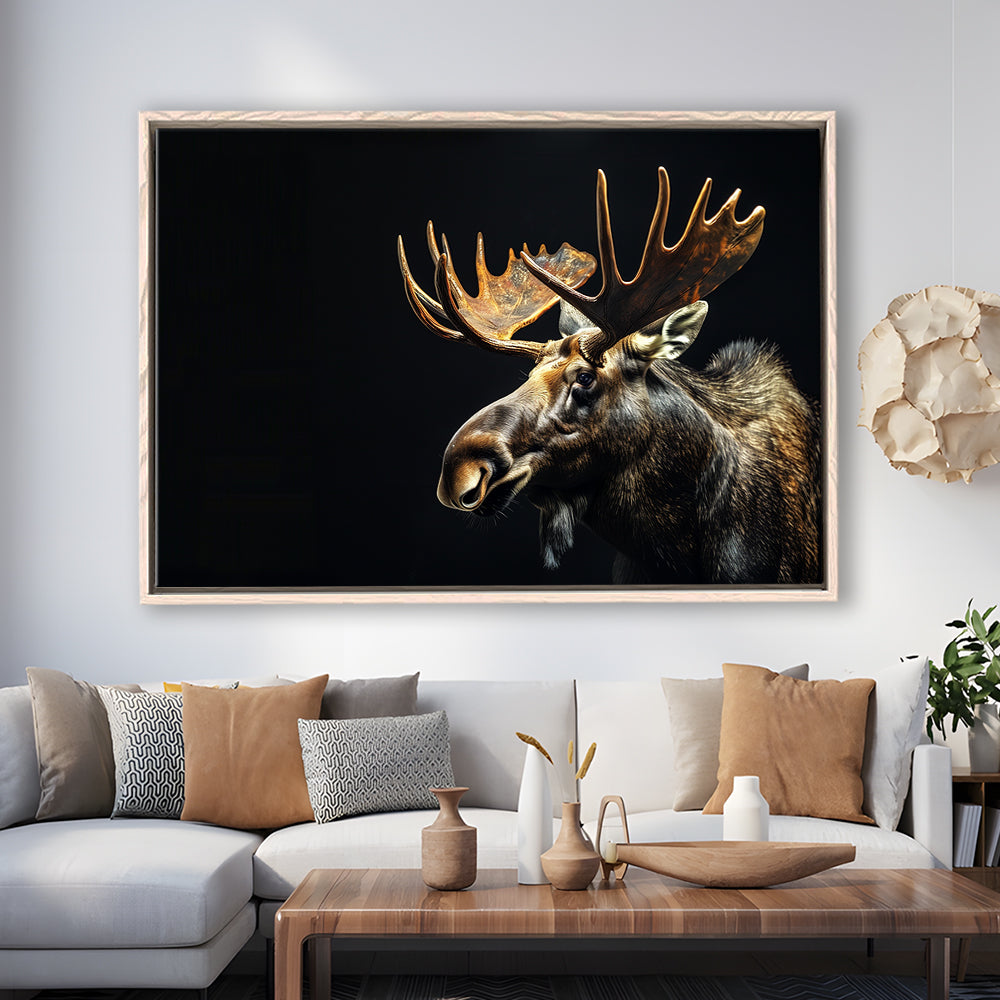 Moose Portrait With Black Background, Hunting Art Decor V1, Floating Framed Canvas Print Wall Art
