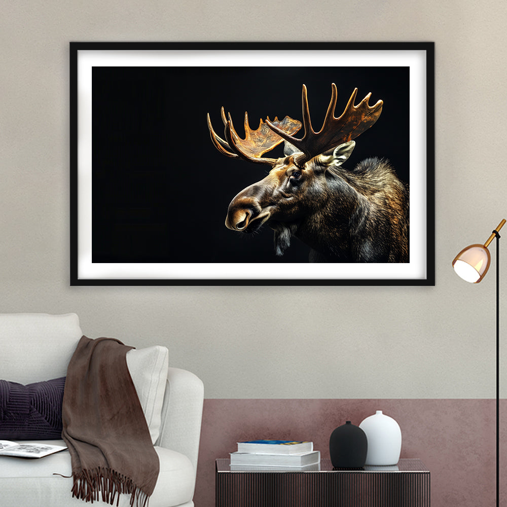 Moose Portrait With Black Background, Hunting Art Decor V1, Framed Art Print White Border Wall Decor