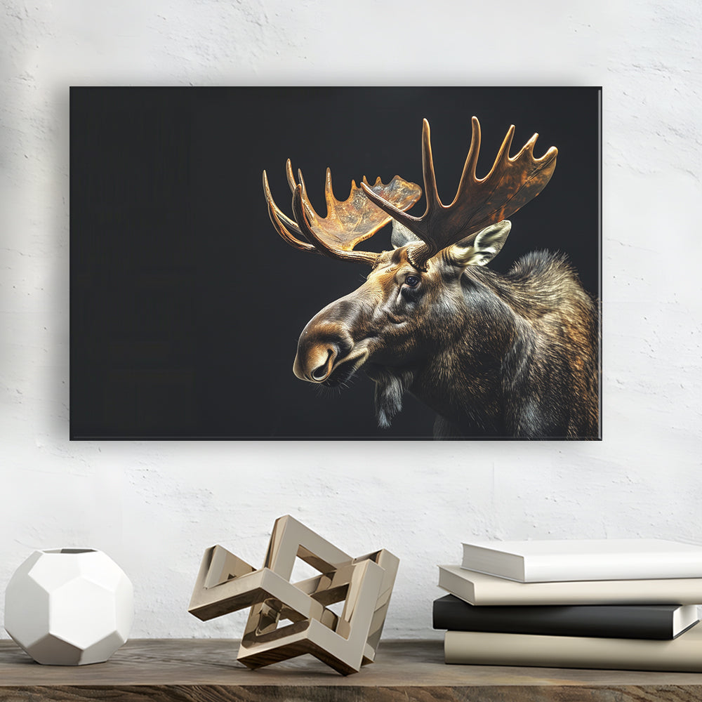 Moose Portrait With Black Background, Hunting Art Decor V1, Canvas Print Wall Art Home Decor