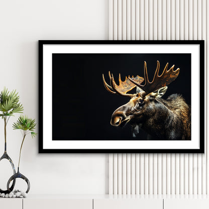 Moose Portrait With Black Background, Hunting Art Decor V1, Framed Art Print White Border Wall Decor