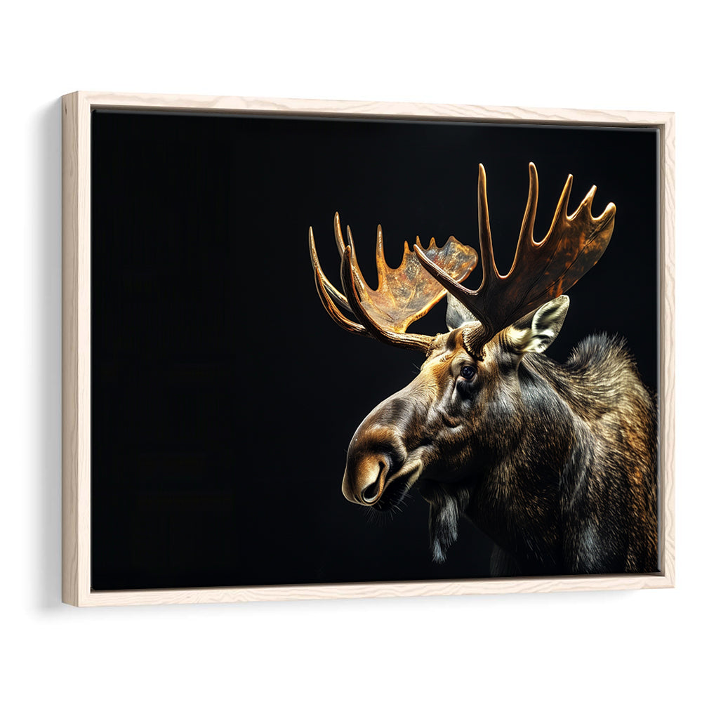 Moose Portrait With Black Background, Hunting Art Decor V1, Floating Framed Canvas Print Wall Art