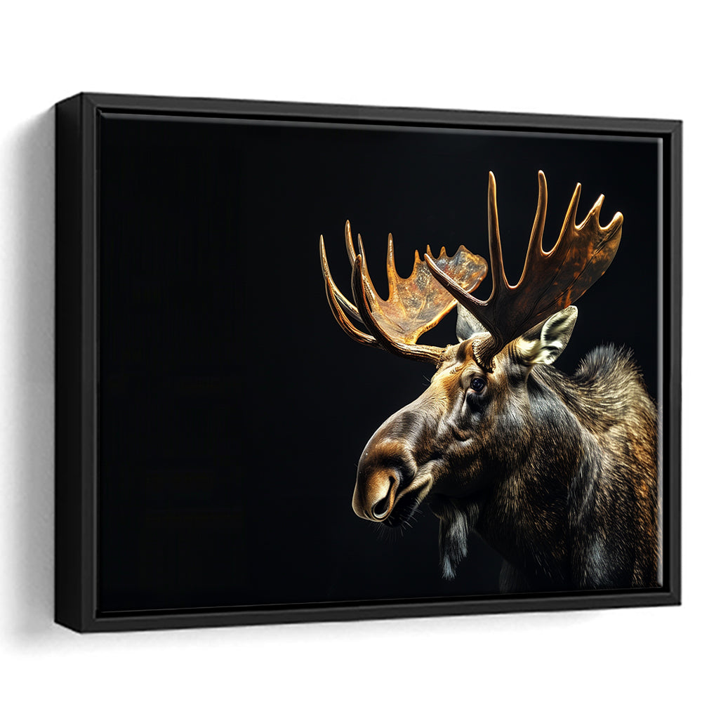 Moose Portrait With Black Background, Hunting Art Decor V1, Floating Framed Canvas Print Wall Art