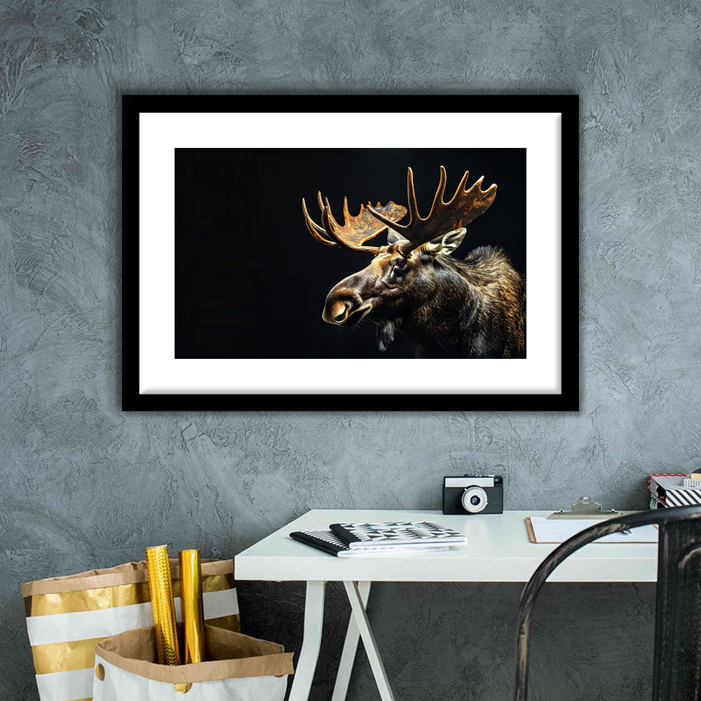 Moose Portrait With Black Background, Hunting Art Decor V1, Framed Art Print White Border Wall Decor