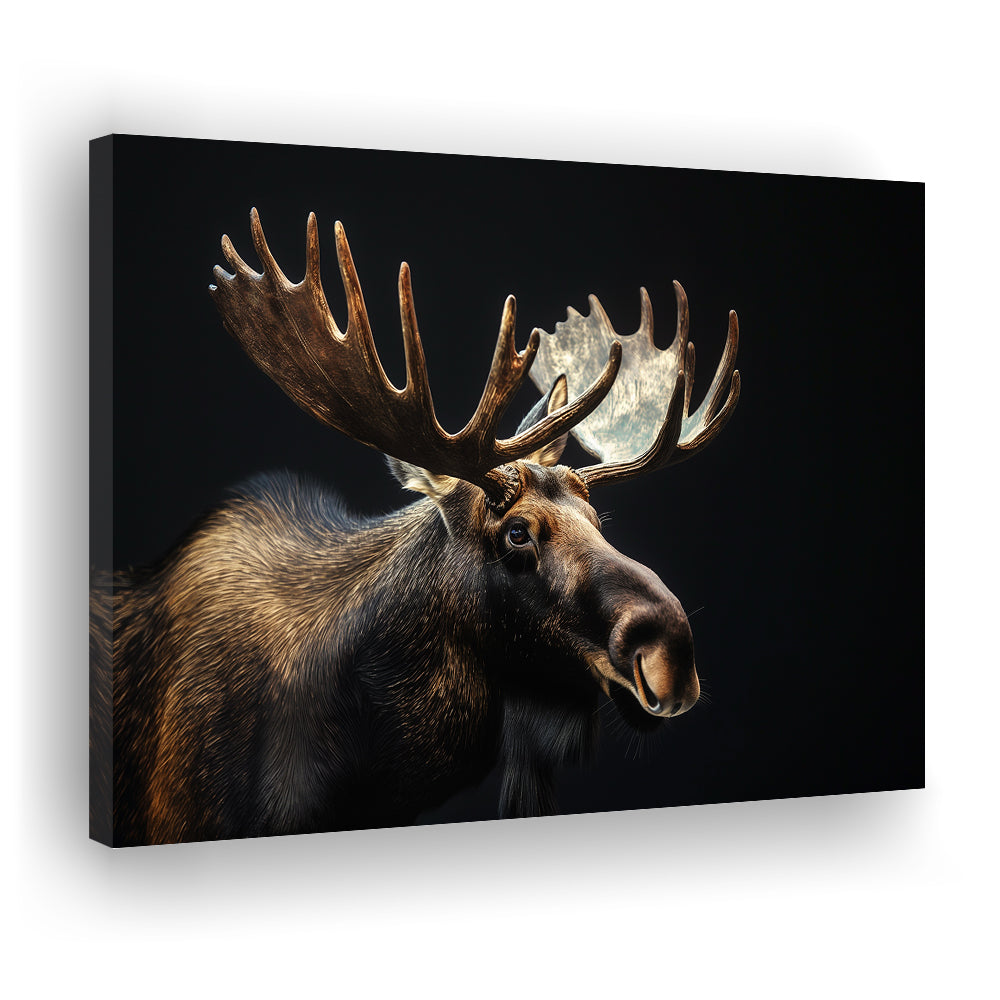 Moose Portrait With Black Background, Hunting Art Decor V2, Canvas Print Wall Art Home Decor