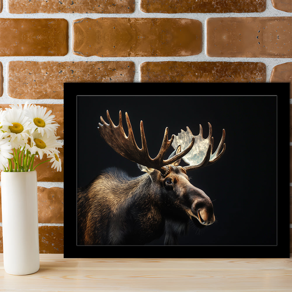 Moose Portrait With Black Background, Hunting Art Decor V2, Framed Art Print Wall Decor, Framed Picture
