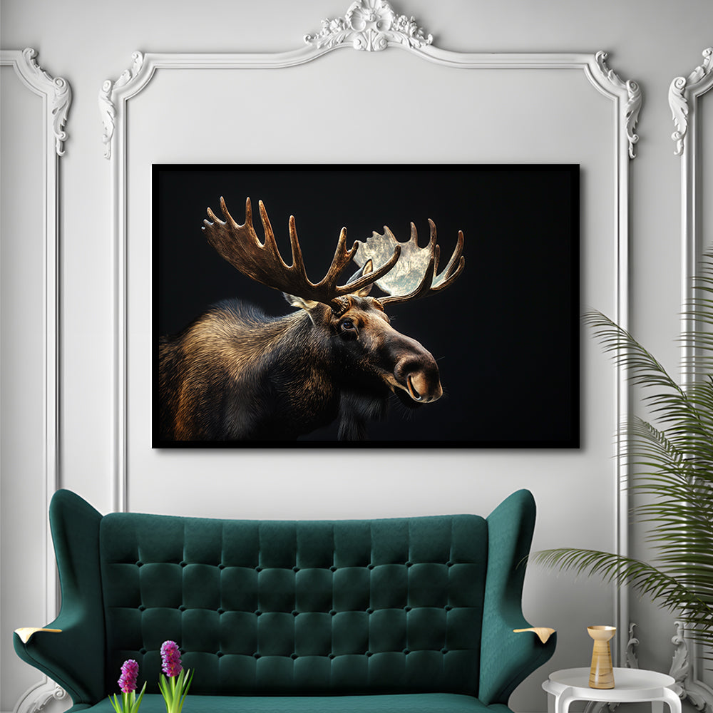 Moose Portrait With Black Background, Hunting Art Decor V2, Framed Art Print Wall Decor, Framed Picture