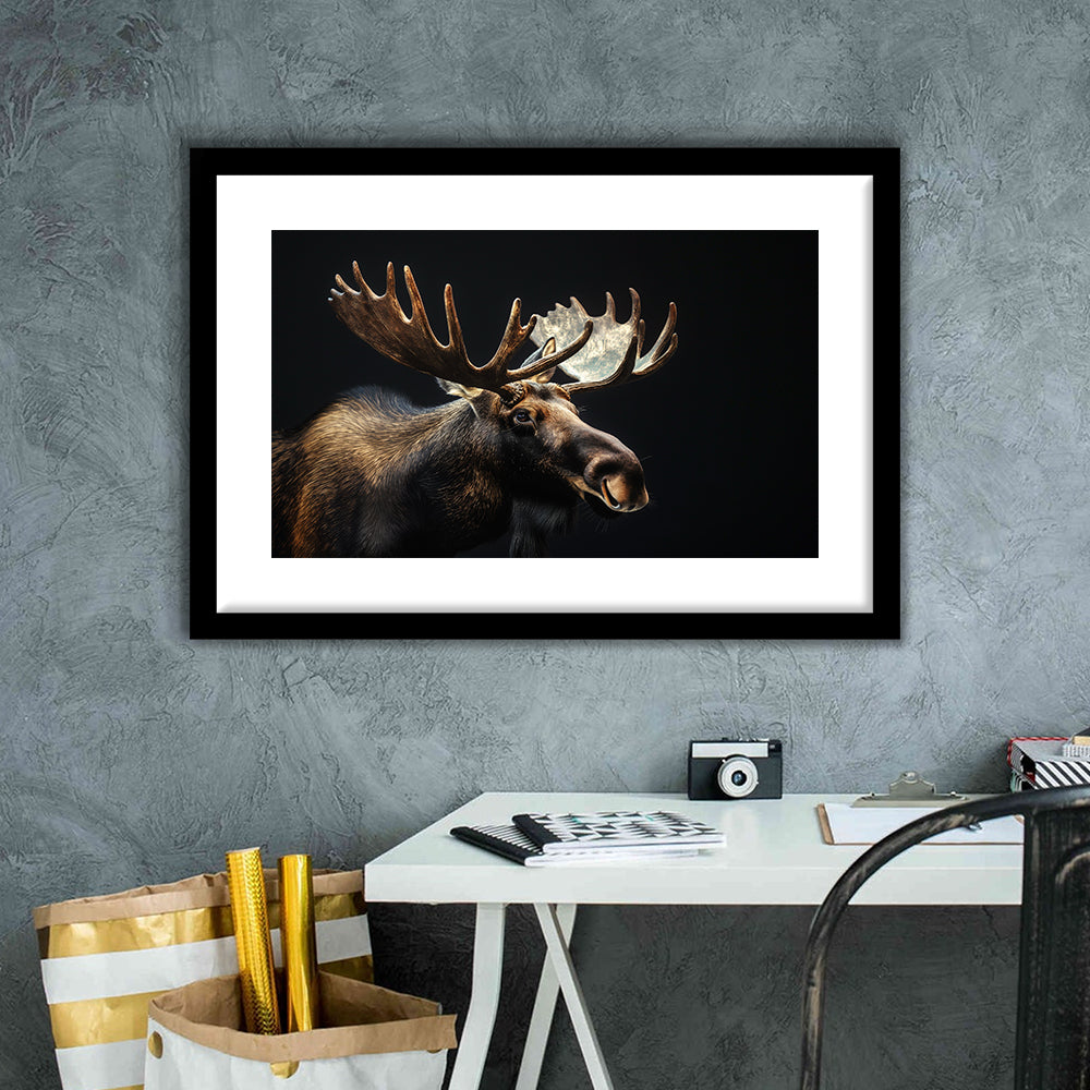 Moose Portrait With Black Background, Hunting Art Decor V2, Framed Art Print White Border Wall Decor