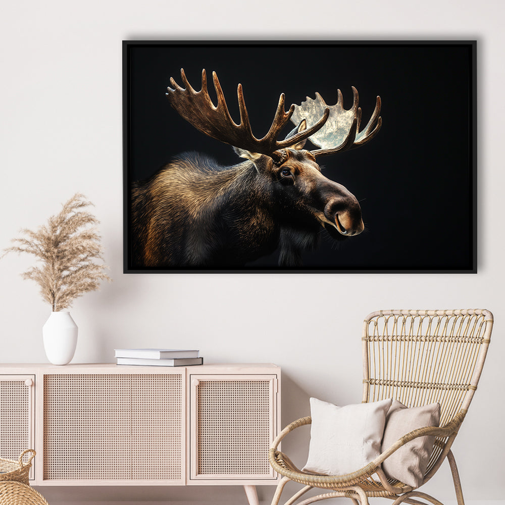 Moose Portrait With Black Background, Hunting Art Decor V2, Floating Framed Canvas Print Wall Art