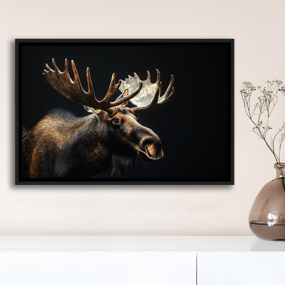 Moose Portrait With Black Background, Hunting Art Decor V2, Floating Framed Canvas Print Wall Art