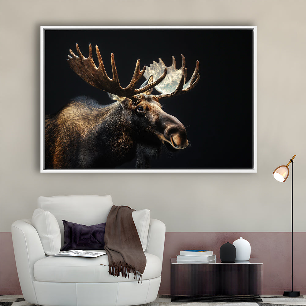 Moose Portrait With Black Background, Hunting Art Decor V2, Floating Framed Canvas Print Wall Art