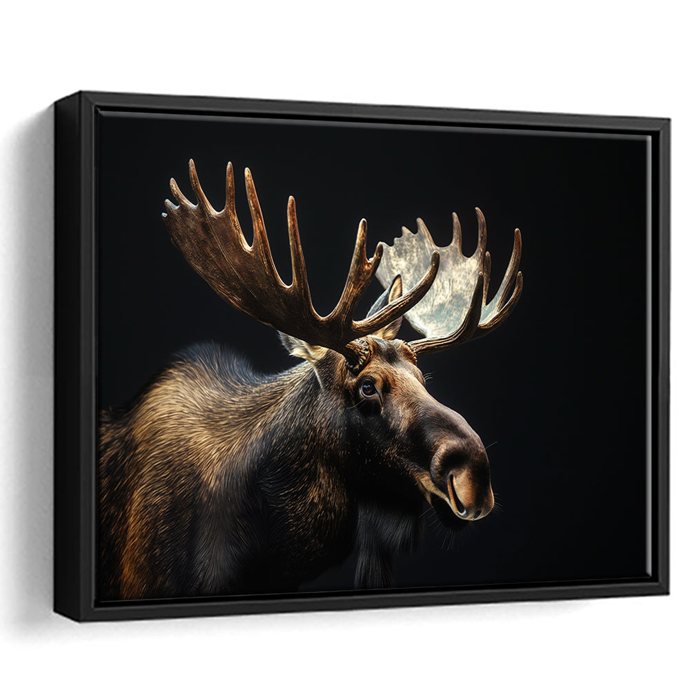 Moose Portrait With Black Background, Hunting Art Decor V2, Floating Framed Canvas Print Wall Art