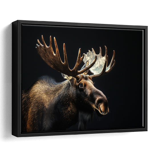 Moose Portrait With Black Background, Hunting Art Decor V2, Floating Framed Canvas Print Wall Art