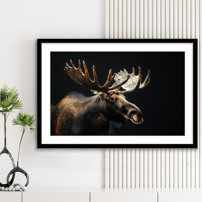 Moose Portrait With Black Background, Hunting Art Decor V2, Framed Art Print White Border Wall Decor