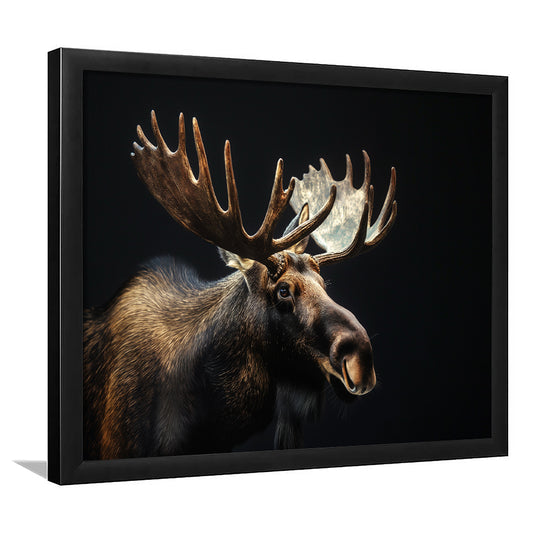 Moose Portrait With Black Background, Hunting Art Decor V2, Framed Art Print Wall Decor, Framed Picture