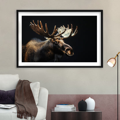 Moose Portrait With Black Background, Hunting Art Decor V2, Framed Art Print White Border Wall Decor
