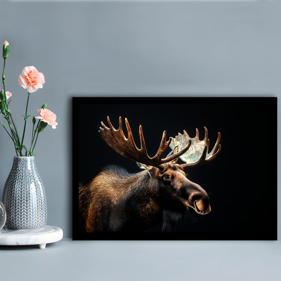 Moose Portrait With Black Background, Hunting Art Decor V2, Framed Art Print Wall Decor, Framed Picture