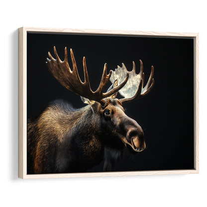 Moose Portrait With Black Background, Hunting Art Decor V2, Floating Framed Canvas Print Wall Art