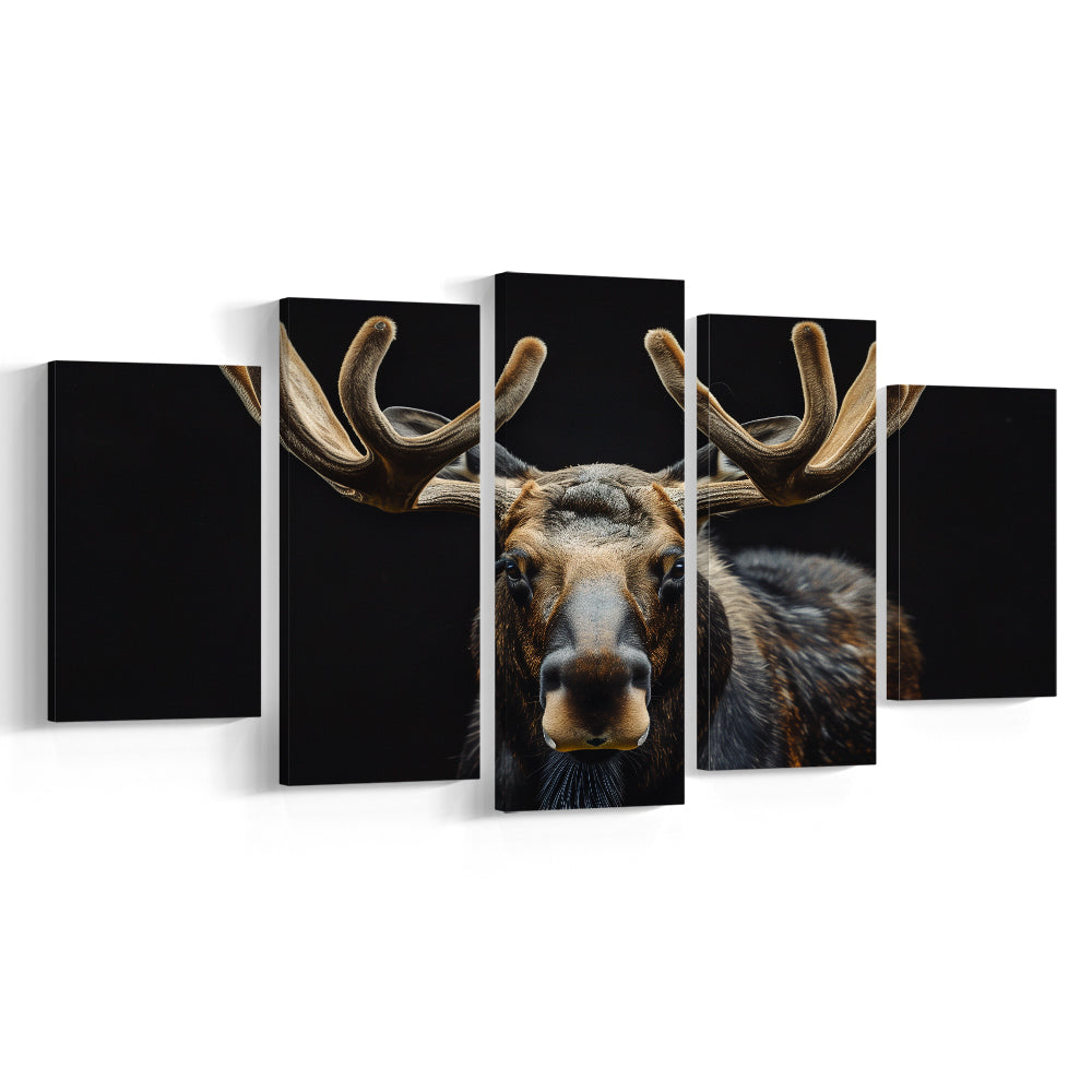 Moose Portrait With Black Background, Hunting Art Decor V3, Mixed Panels Canvas Print Wall Art