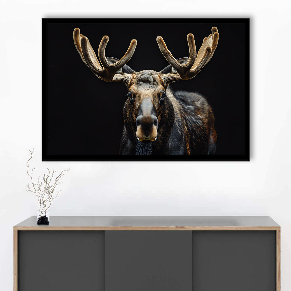Moose Portrait With Black Background, Hunting Art Decor V3, Framed Art Print Wall Decor, Framed Picture
