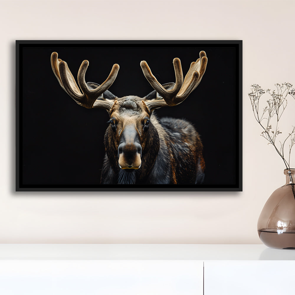 Moose Portrait With Black Background, Hunting Art Decor V3, Floating Framed Canvas Print Wall Art