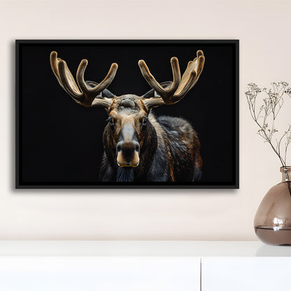 Moose Portrait With Black Background, Hunting Art Decor V3, Floating Framed Canvas Print Wall Art
