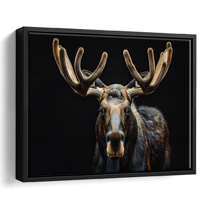 Moose Portrait With Black Background, Hunting Art Decor V3, Floating Framed Canvas Print Wall Art
