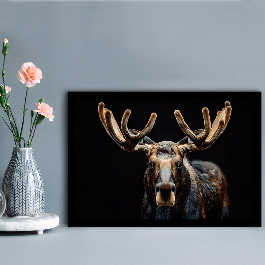 Moose Portrait With Black Background, Hunting Art Decor V3, Framed Art Print Wall Decor, Framed Picture