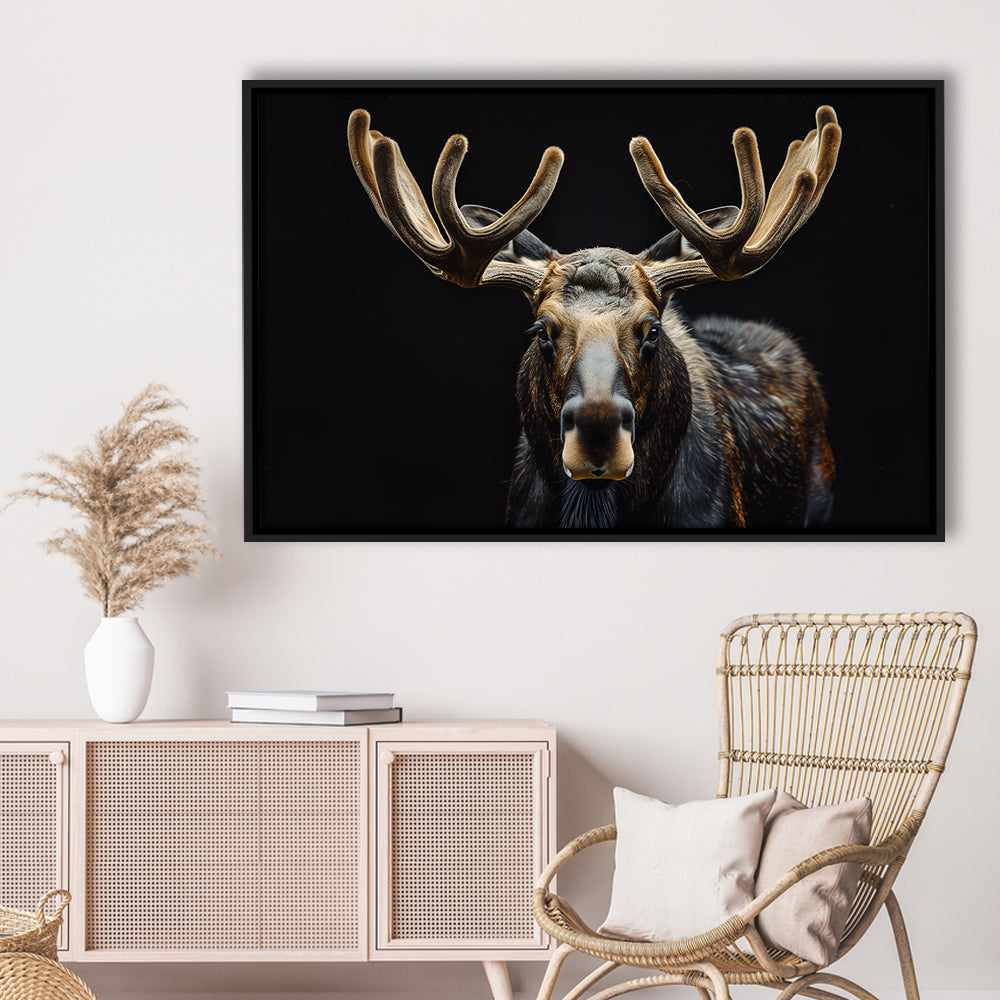 Moose Portrait With Black Background, Hunting Art Decor V3, Floating Framed Canvas Print Wall Art
