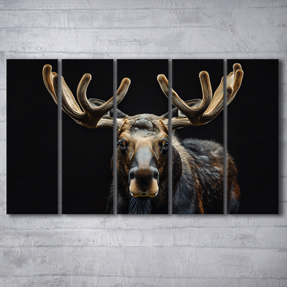Moose Portrait With Black Background, Hunting Art V3, Multi Panels Canvas Print Wall Art