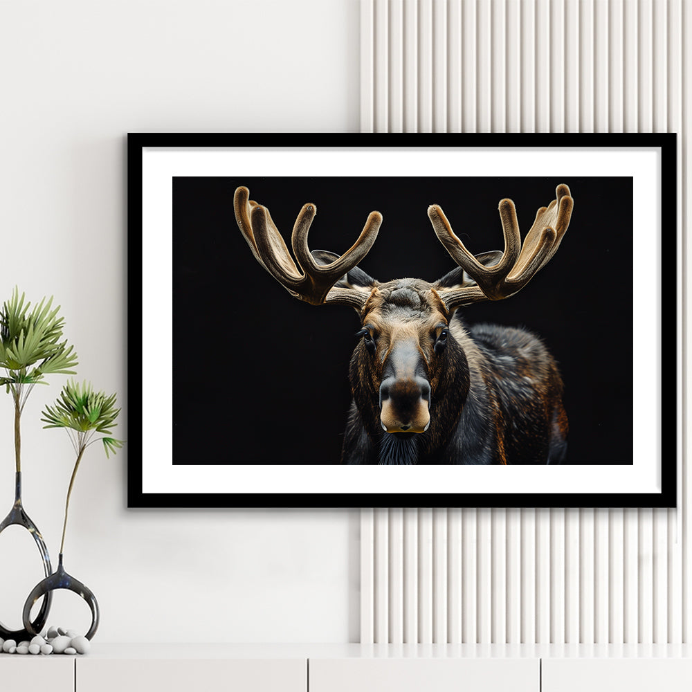 Moose Portrait With Black Background, Hunting Art Decor V3, Framed Art Print White Border Wall Decor
