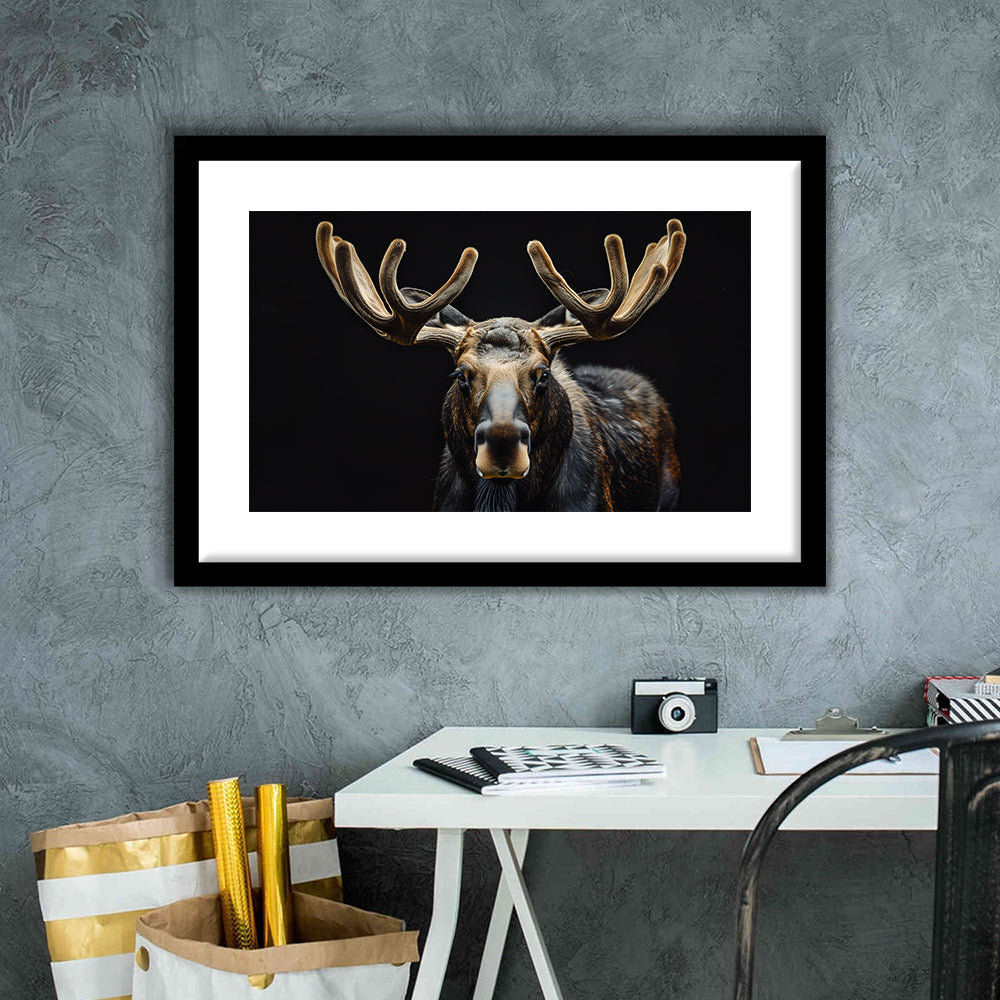 Moose Portrait With Black Background, Hunting Art Decor V3, Framed Art Print White Border Wall Decor