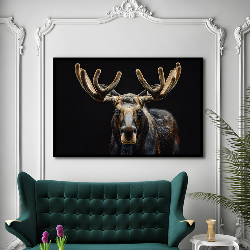 Moose Portrait With Black Background, Hunting Art Decor V3, Framed Art Print Wall Decor, Framed Picture