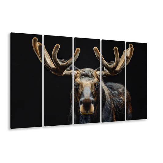 Moose Portrait With Black Background, Hunting Art V3, Multi Panels Canvas Print Wall Art