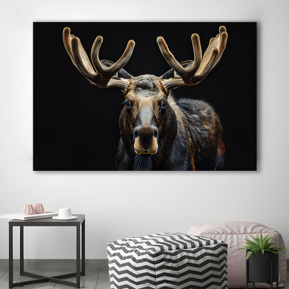Moose Portrait With Black Background, Hunting Art Decor V3, Canvas Print Wall Art Home Decor