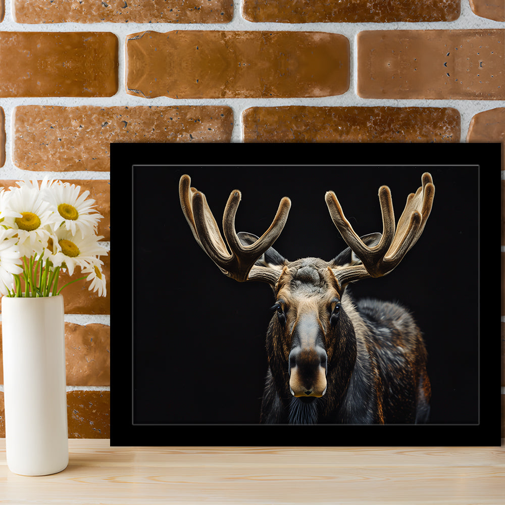 Moose Portrait With Black Background, Hunting Art Decor V3, Framed Art Print Wall Decor, Framed Picture