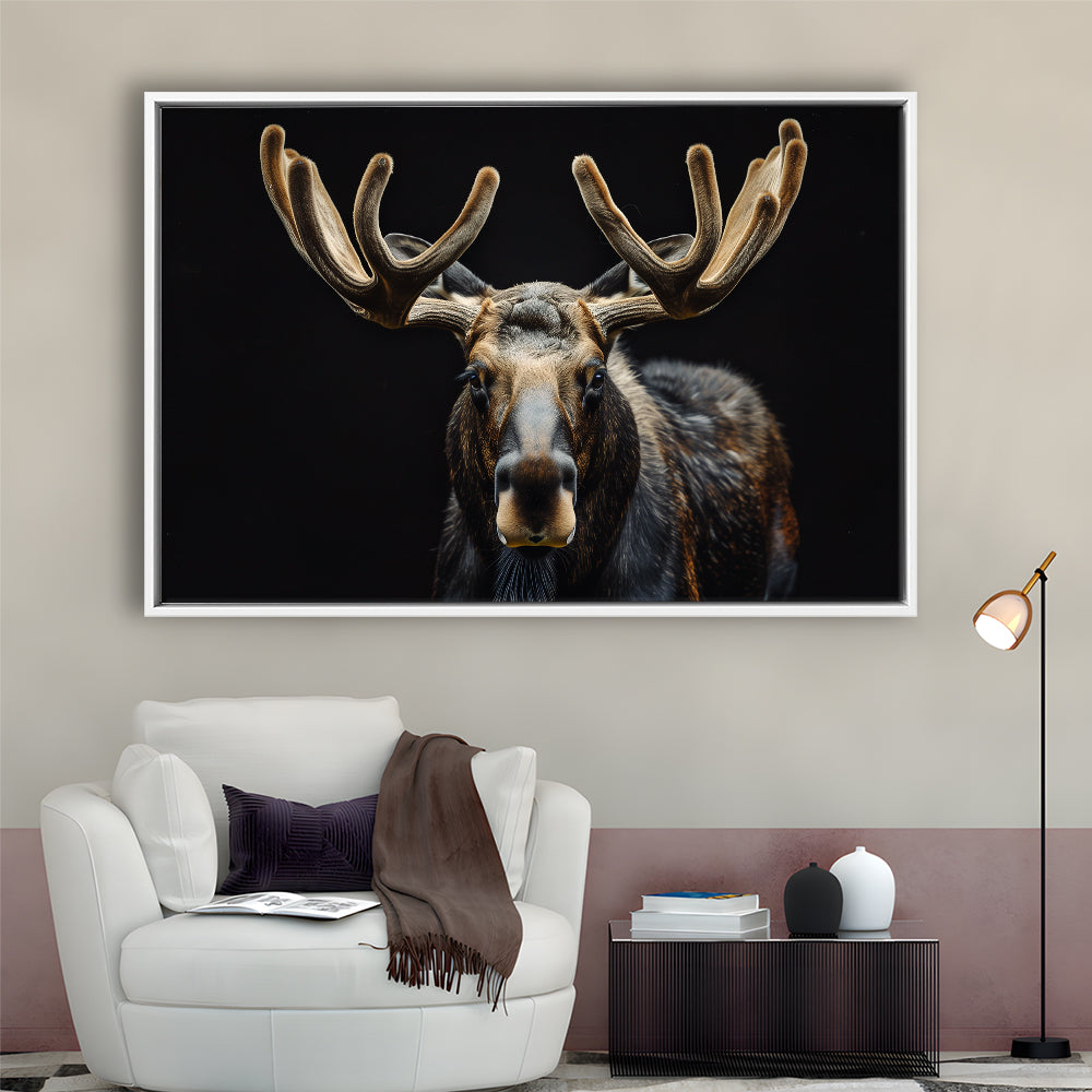Moose Portrait With Black Background, Hunting Art Decor V3, Floating Framed Canvas Print Wall Art
