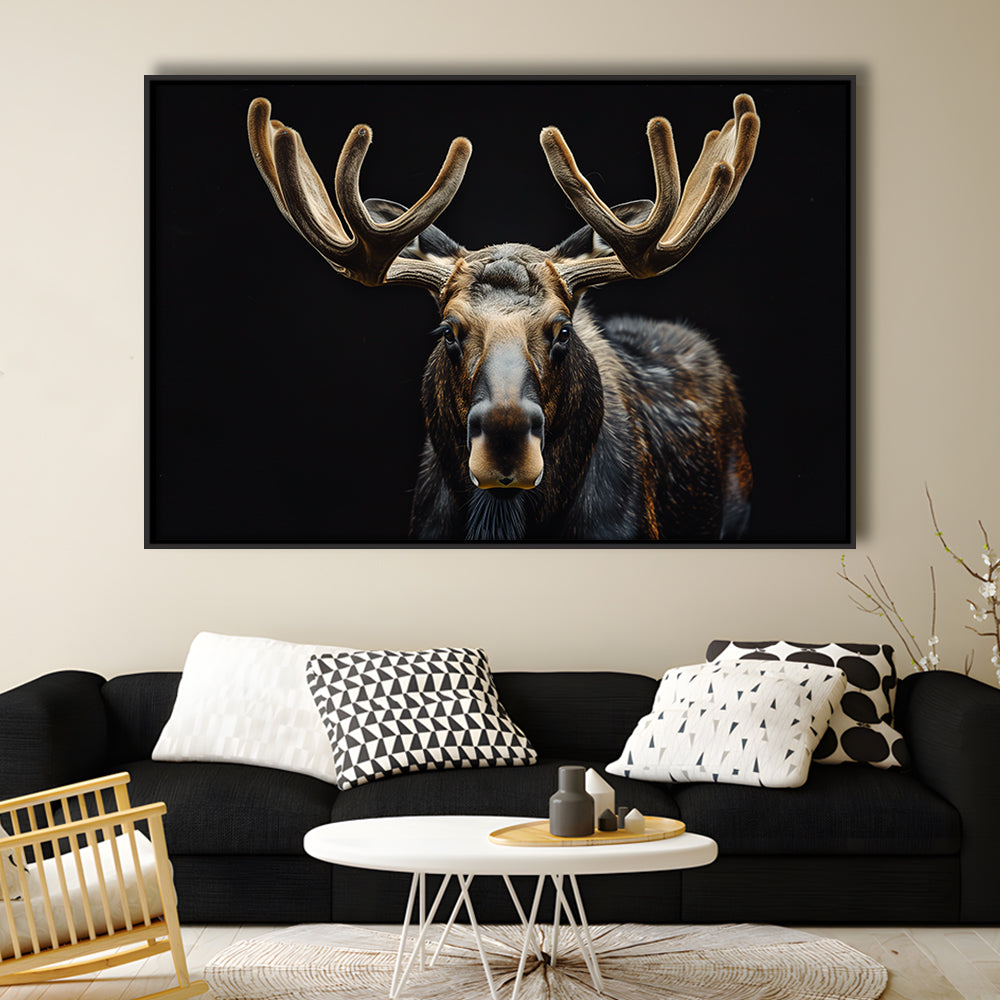 Moose Portrait With Black Background, Hunting Art Decor V3, Floating Framed Canvas Print Wall Art