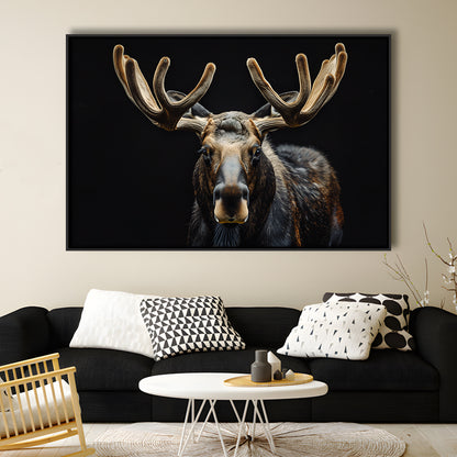 Moose Portrait With Black Background, Hunting Art Decor V3, Floating Framed Canvas Print Wall Art