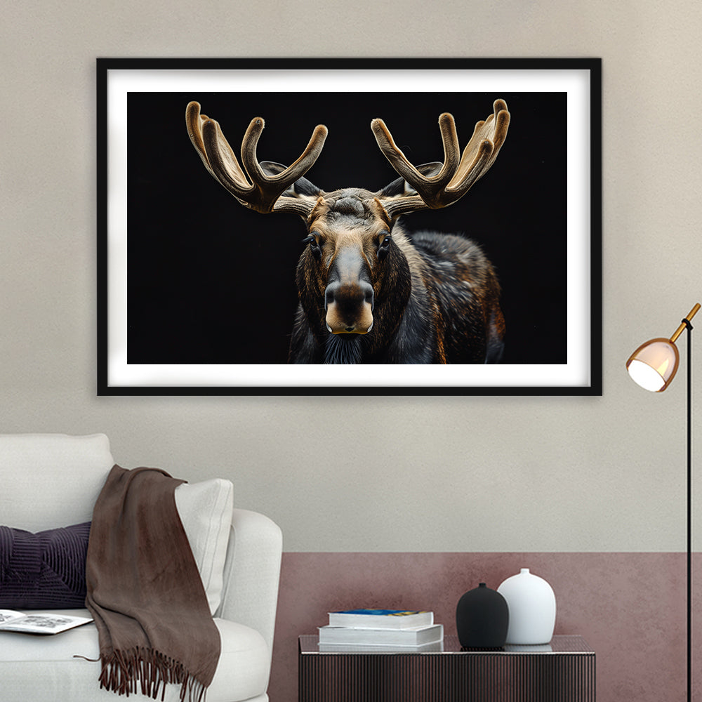 Moose Portrait With Black Background, Hunting Art Decor V3, Framed Art Print White Border Wall Decor