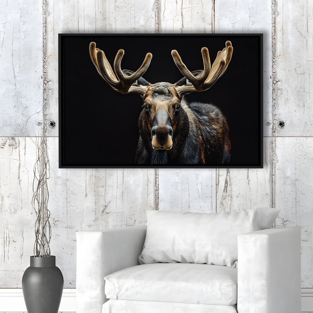 Moose Portrait With Black Background, Hunting Art Decor V3, Floating Framed Canvas Print Wall Art