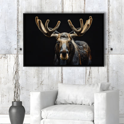 Moose Portrait With Black Background, Hunting Art Decor V3, Floating Framed Canvas Print Wall Art