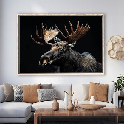 Moose Portrait With Black Background, Hunting Art Decor, Floating Framed Canvas Print Wall Art