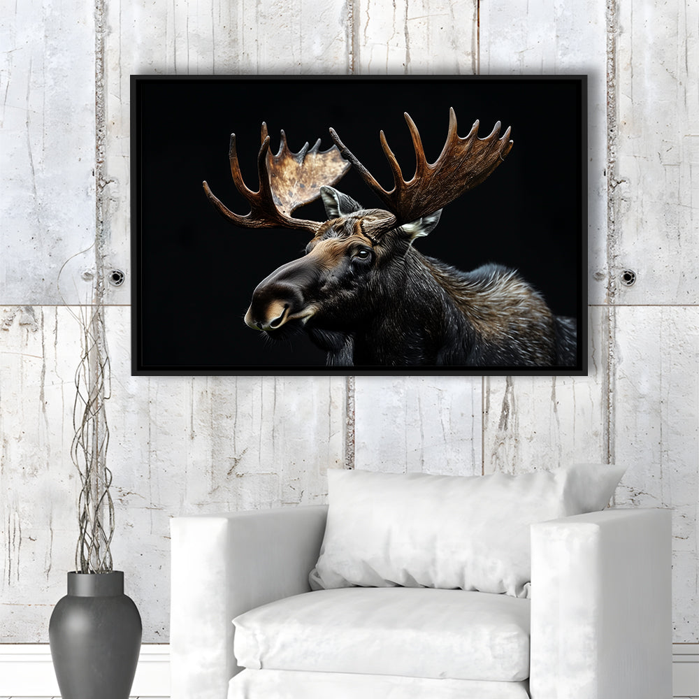 Moose Portrait With Black Background, Hunting Art Decor, Floating Framed Canvas Print Wall Art