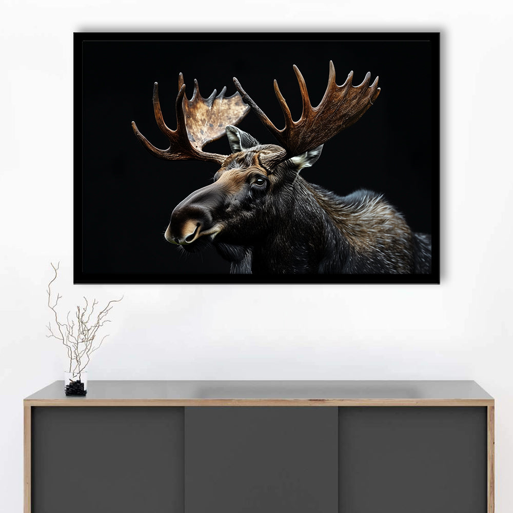 Moose Portrait With Black Background, Hunting Art Decor, Framed Art Print Wall Decor, Framed Picture