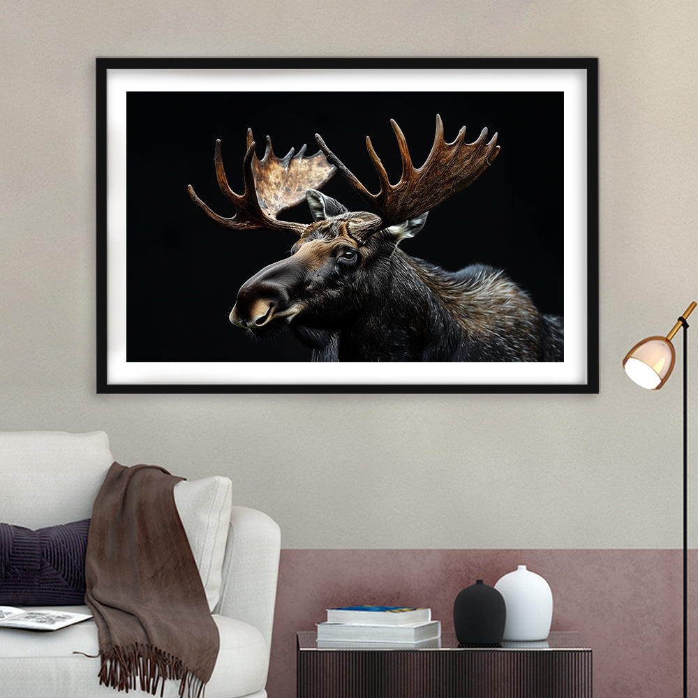 Moose Portrait With Black Background, Hunting Art Decor, Framed Art Print White Border Wall Decor