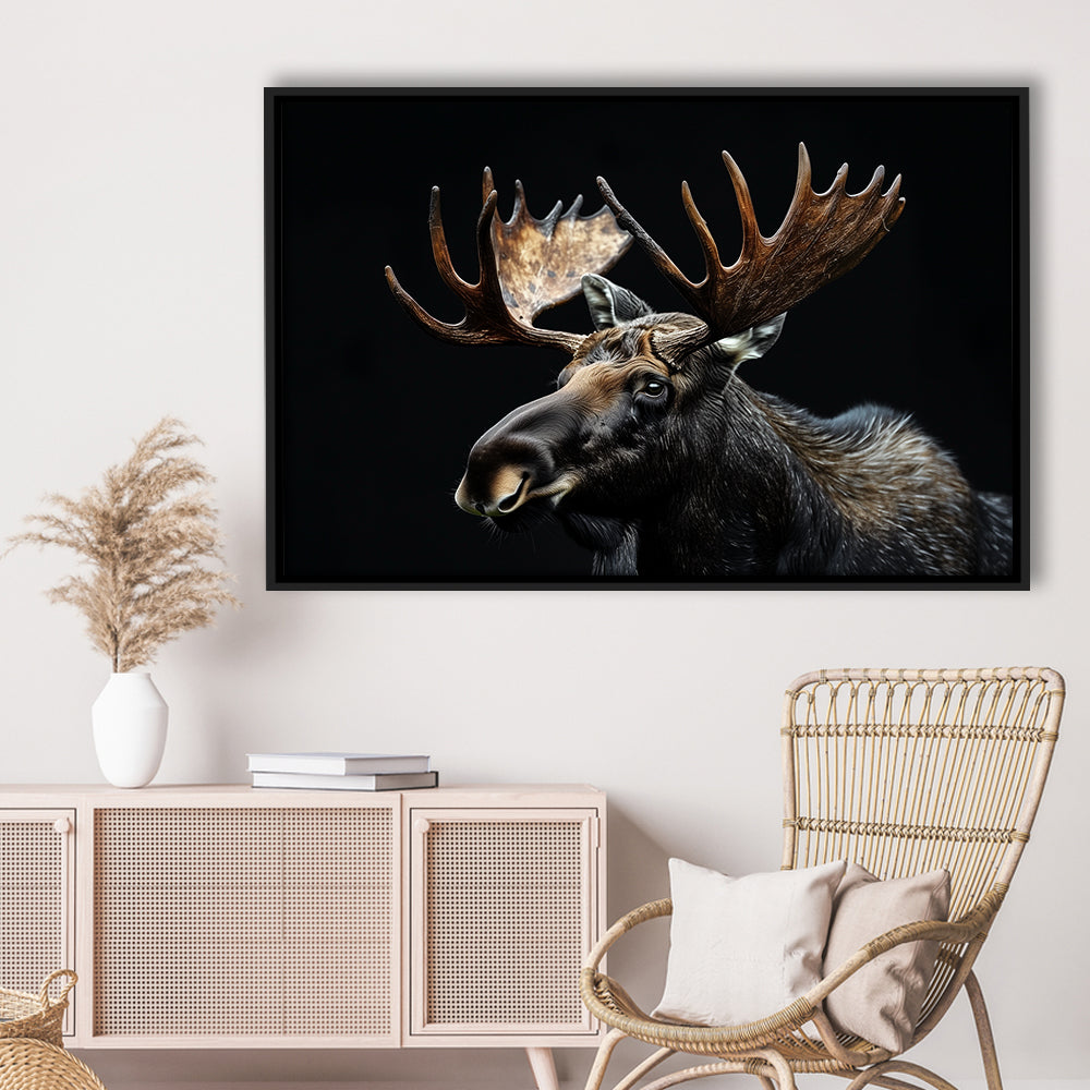 Moose Portrait With Black Background, Hunting Art Decor, Floating Framed Canvas Print Wall Art