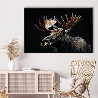 Moose Portrait With Black Background, Hunting Art Decor, Floating Framed Canvas Print Wall Art