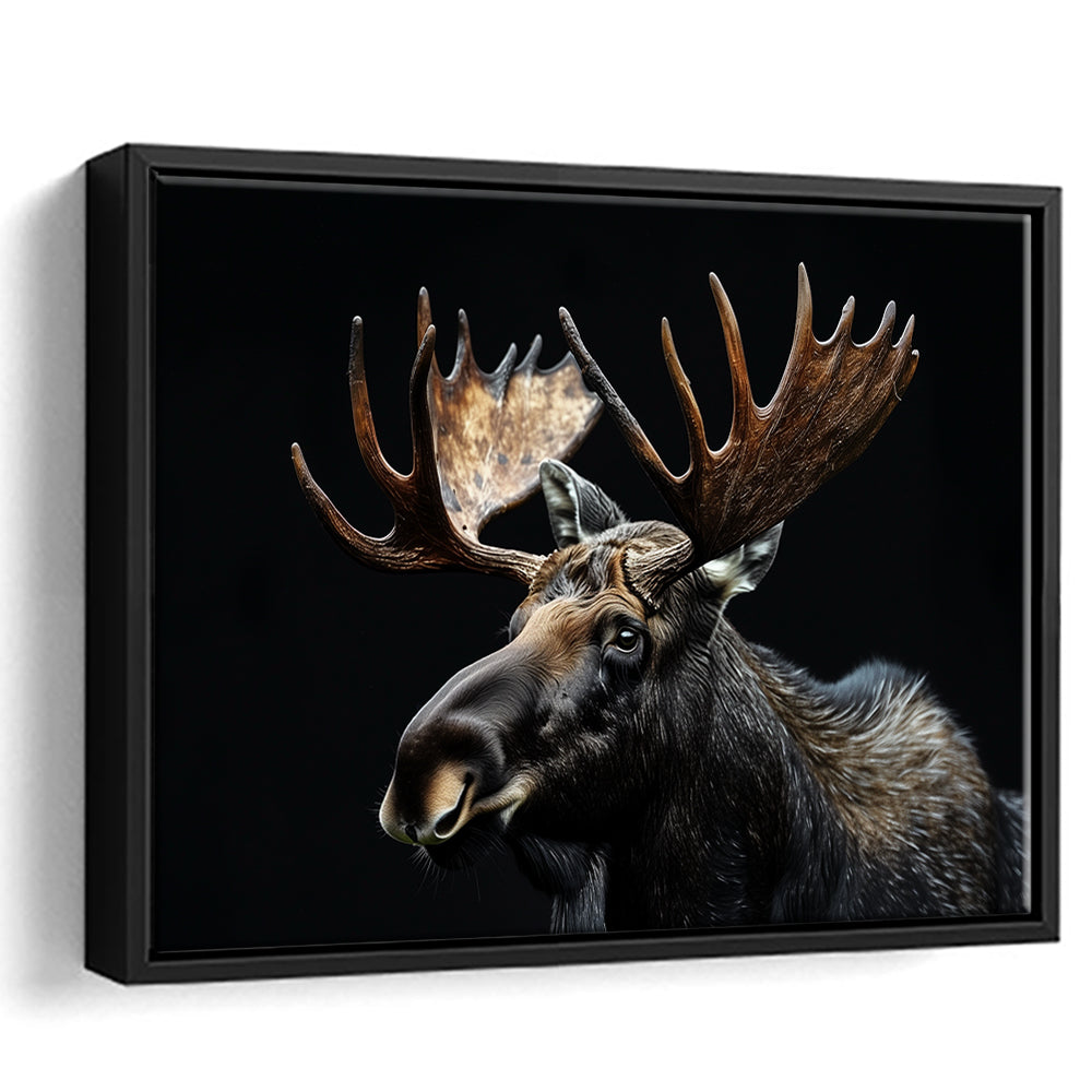 Moose Portrait With Black Background, Hunting Art Decor, Floating Framed Canvas Print Wall Art