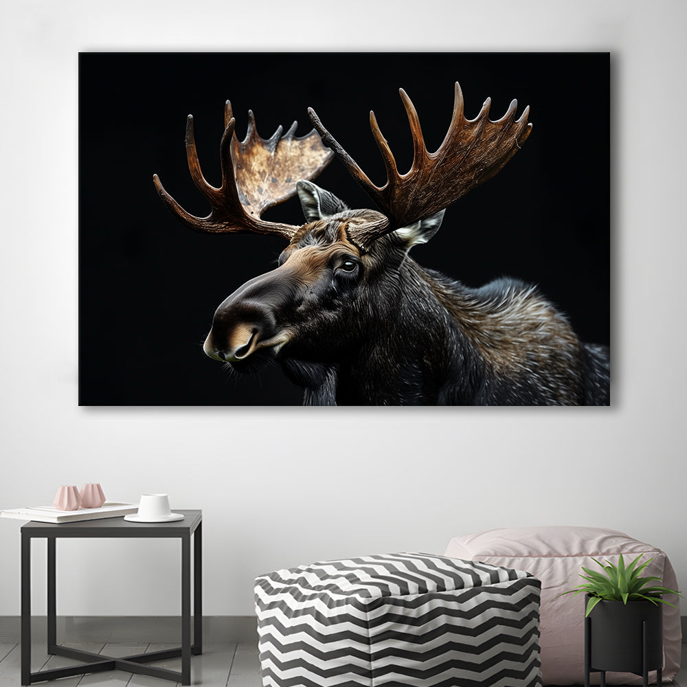 Moose Portrait With Black Background, Hunting Art Decor, Canvas Print Wall Art Home Decor