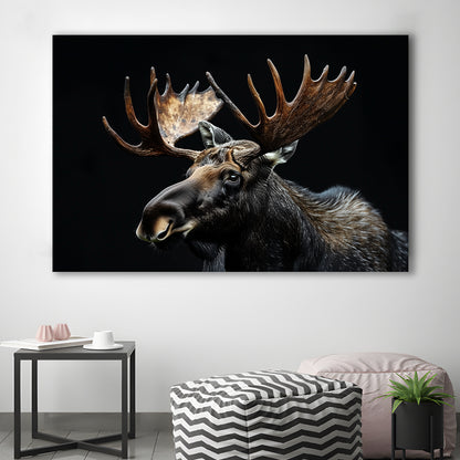 Moose Portrait With Black Background, Hunting Art Decor, Canvas Print Wall Art Home Decor